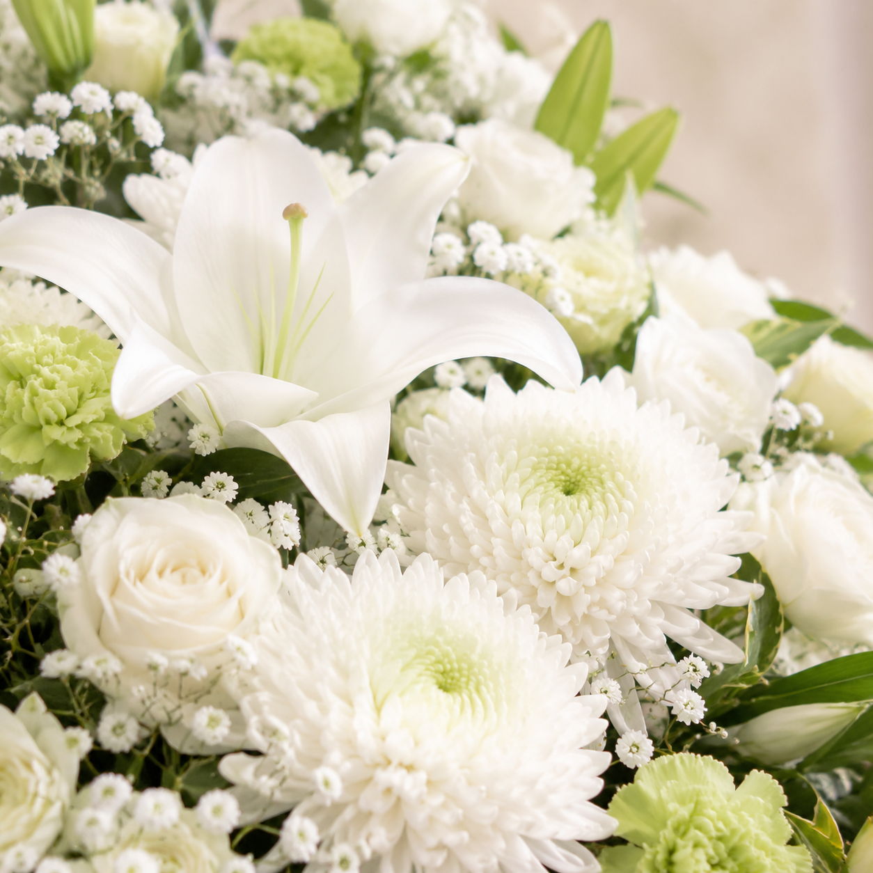img20260901173005376348.png
